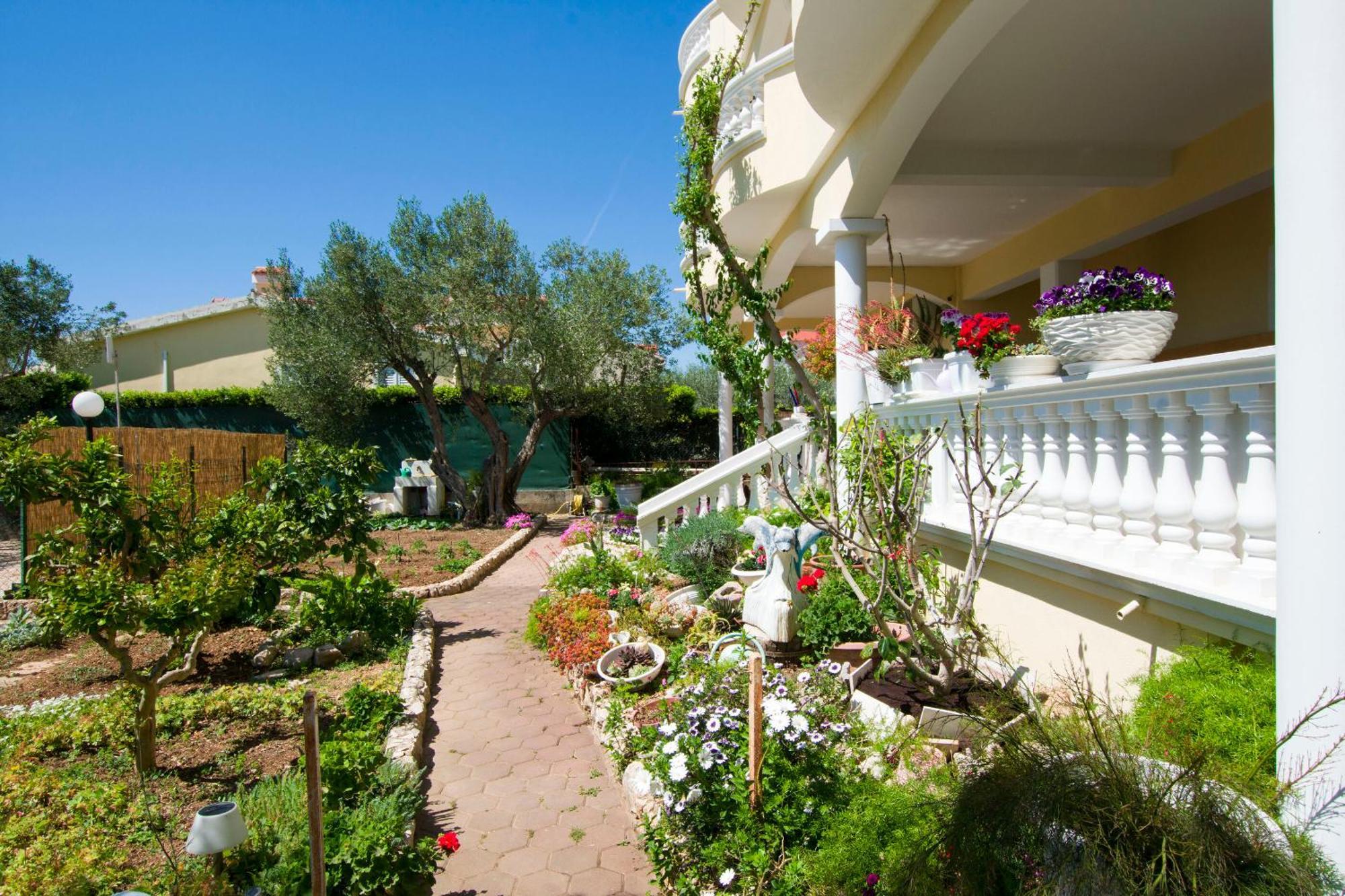 Apartments Dandelion Biograd Na Moru Luaran gambar